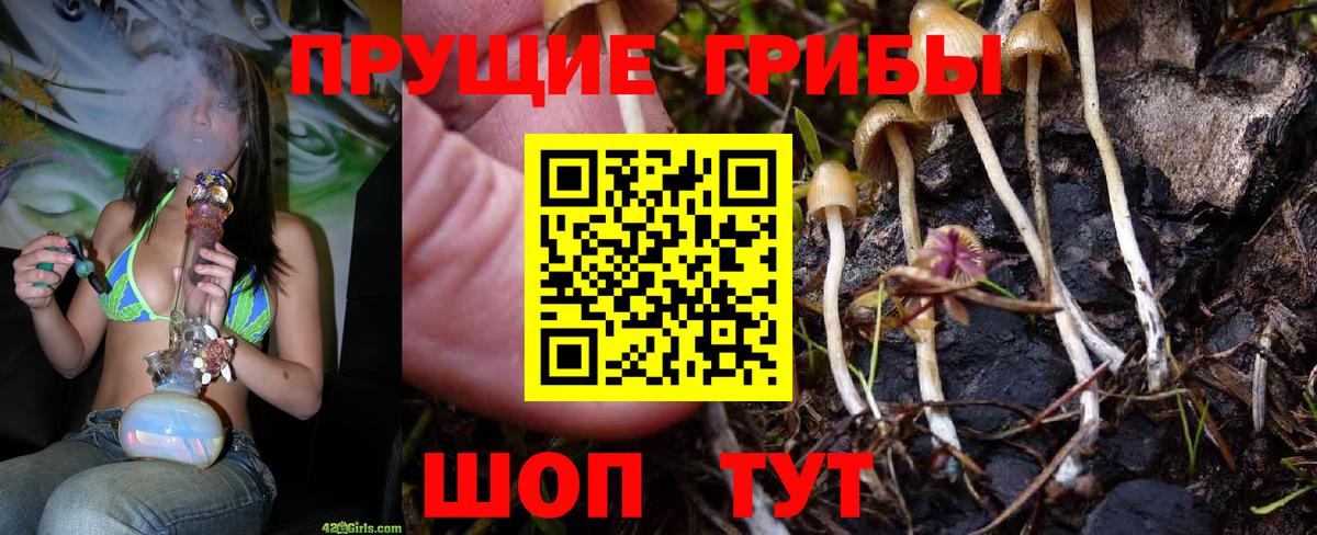 Галлюциногенные грибы MAGIC MUSHROOMS Ухта